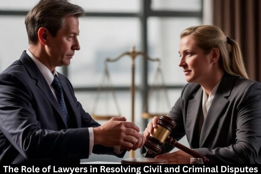 The Role of Lawyers in Resolving Civil and Criminal Disputes